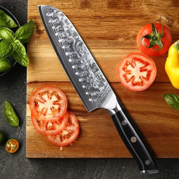 F.YOUNG 7 Inch Professional Japanese Santoku 67 Layer Damascus Steel VG10 Core Chef Knife - Image 2