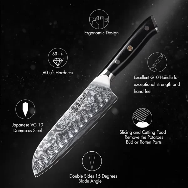 F.YOUNG 7 Inch Professional Japanese Santoku 67 Layer Damascus Steel VG10 Core Chef Knife - Image 5