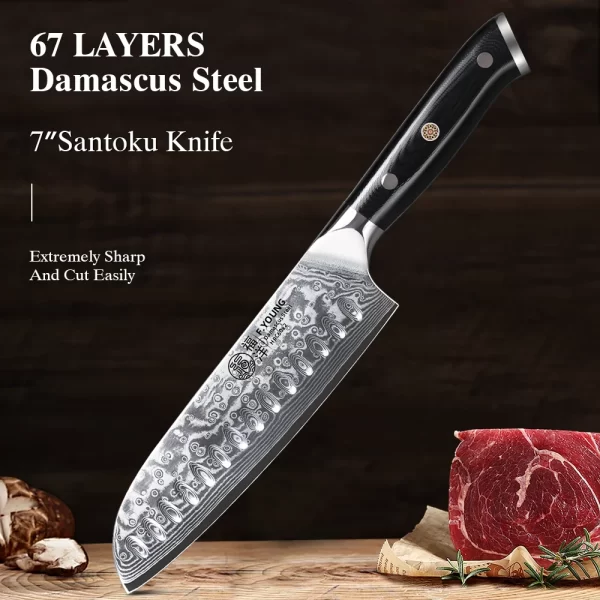 F.YOUNG 7 Inch Professional Japanese Santoku 67 Layer Damascus Steel VG10 Core Chef Knife